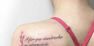 Татуировки надписи латынь, самое полное собраний фраз для тату на латыни