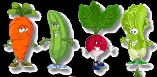 Познавательные загадки про овощи и фрукты Детские загадки об овощах