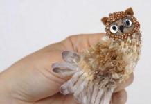 Do-it-yourself owl made of natural material: instructions, master class