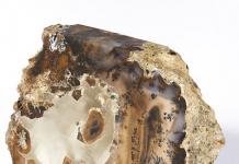 Moss agate: description, magical and healing properties Moss agate stone magical properties