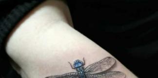 The meaning of dragonfly in the art of tattoo Dragonfly on the wrist