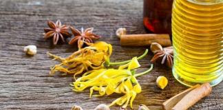 Properties and uses of ylang ylang essential oil