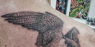 Falcon tattoo on arm
