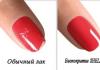Shellac manicure: all about shellac coating correct application at home
