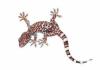 Мастер-класс по плетению изумрудного геккона Видео: Урок плетения ящерицы из бисера
