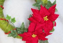 Poinsettia from foamiran.  Master Class.  Poinsettia from foamiran (Christmas star), MK with step-by-step photos How to make poinsettia from foamiran