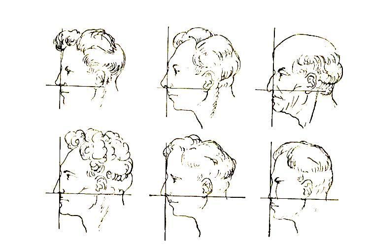 Попал на угол головы савин. Угол головы. Угол головы. Лицевой угол. Угол головы.