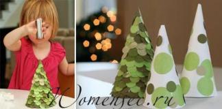Winter crafts with children and for children Winter crafts for kindergarten for a competition
