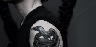 Sketches of a tattoo with a snake on the arm